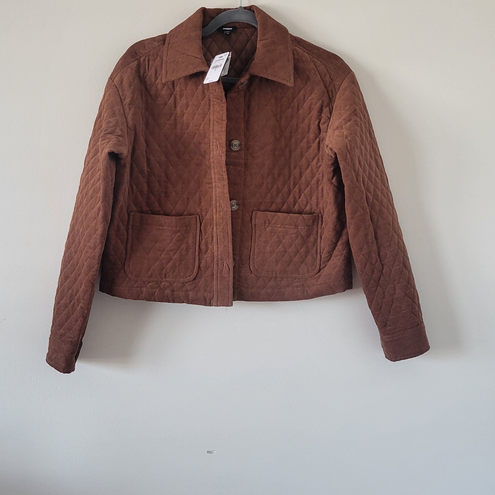 Express Brown Quilted Puffer Jacket